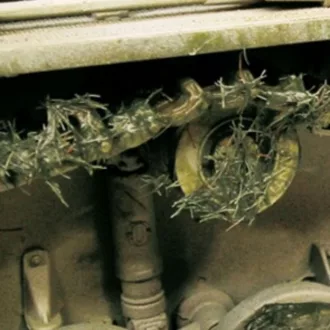   Vallejo - Weathering FX: Crushed Grass 40 ml makettező effekt