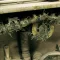 Vallejo - Weathering FX: Crushed Grass 40 ml makettező effekt