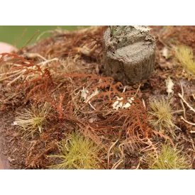Model Scene Dry fern