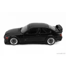 WERK83 BMW 3-SERIES M3 GTR (E36) PLAIN BODY VERSION 1993